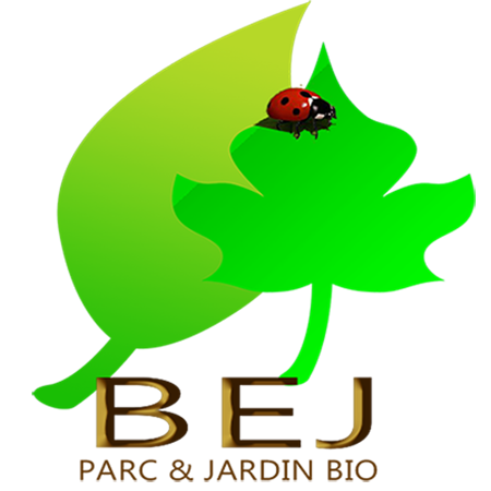 logo avec feuille et coccinelle pour culture bio